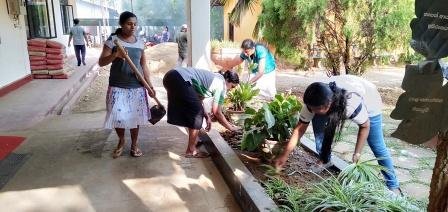 Home gardening program implemented in the office premises